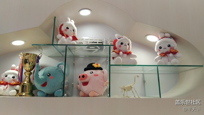 【玉兔呈祥】櫥窗里的兔子