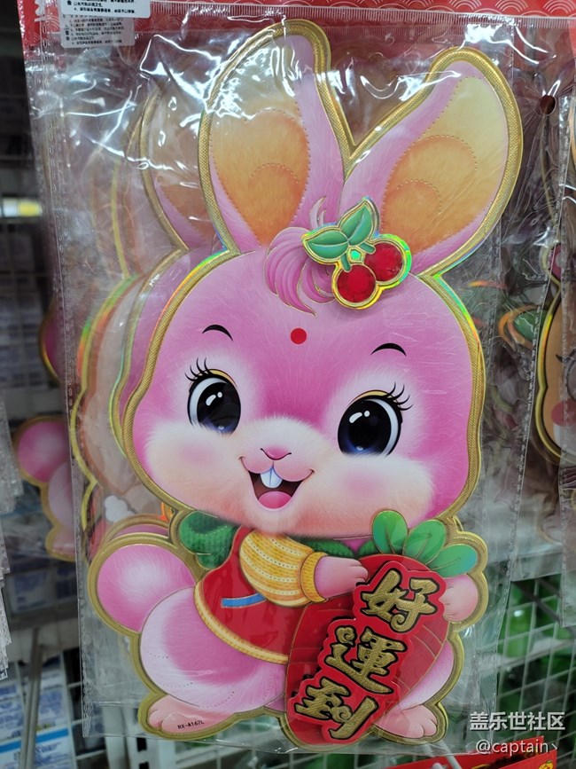 【兔年寻兔】元宵佳节
