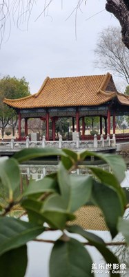 上午好！