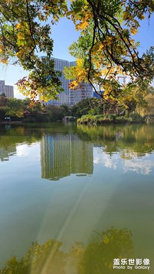 摻在手機里的風(fēng)景
