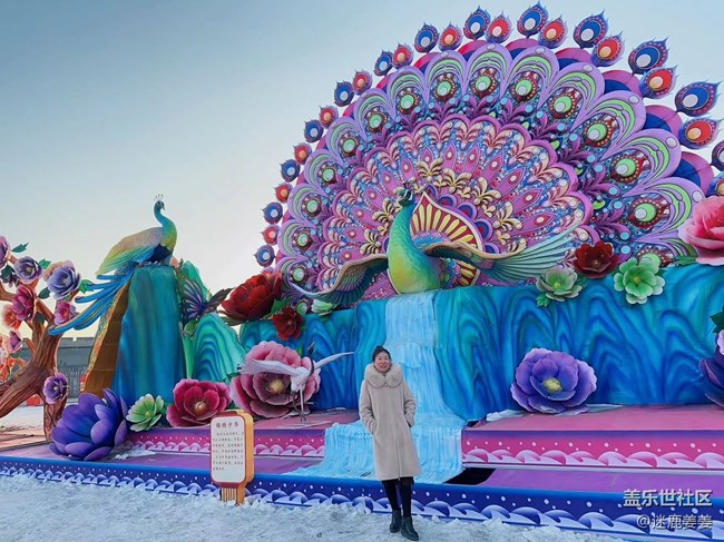 【我在盛京拍花燈】團(tuán)團(tuán)圓圓，歲歲年年