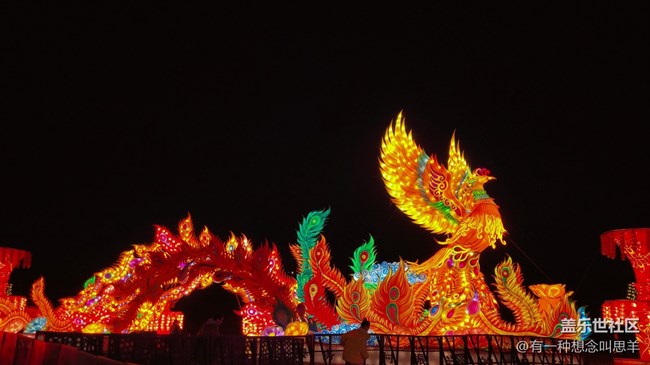 【我在盛京拍花燈】關東影視城的燈