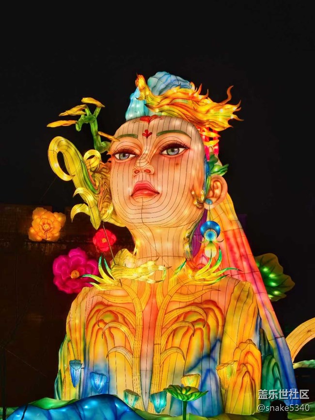 【我在盛京拍花燈】一個(gè)字“絕”