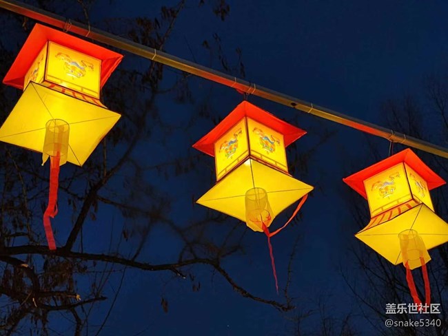 【我在盛京拍花燈】一個(gè)字“絕”