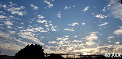隨手拍