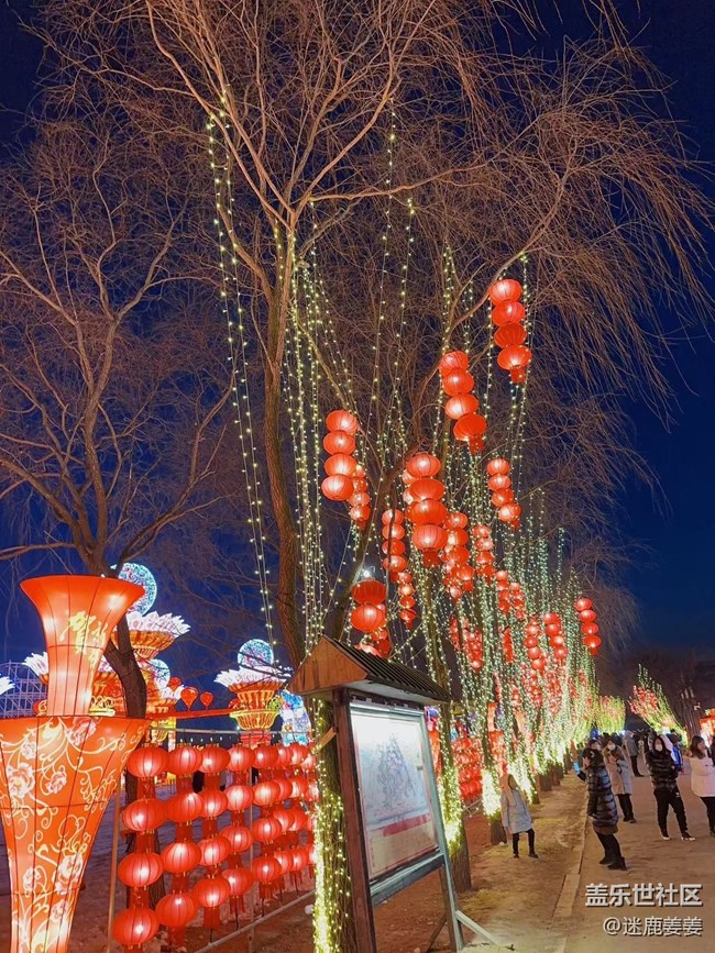 【我在盛京拍花燈】團(tuán)團(tuán)圓圓，歲歲年年