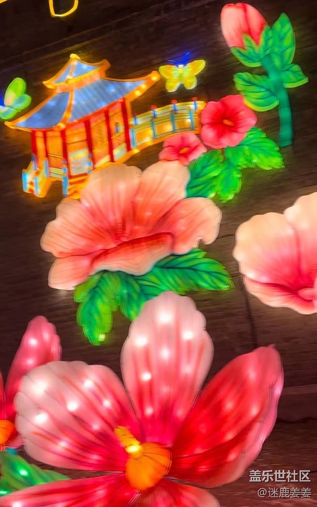 【我在盛京拍花燈】團(tuán)團(tuán)圓圓，歲歲年年