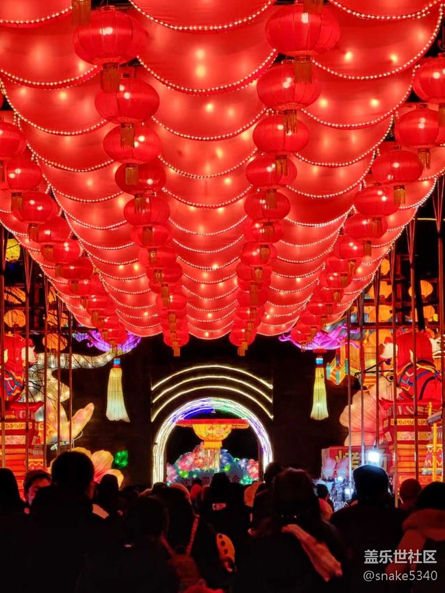 【我在盛京拍花燈】一個(gè)字“絕”