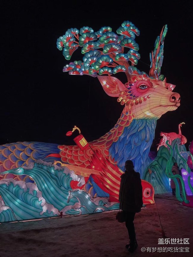 《元宵節(jié)盛京燈會》回顧貼