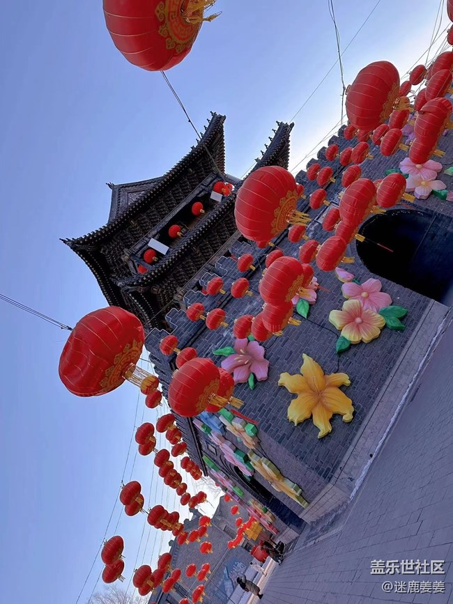 【我在盛京拍花燈】團(tuán)團(tuán)圓圓，歲歲年年