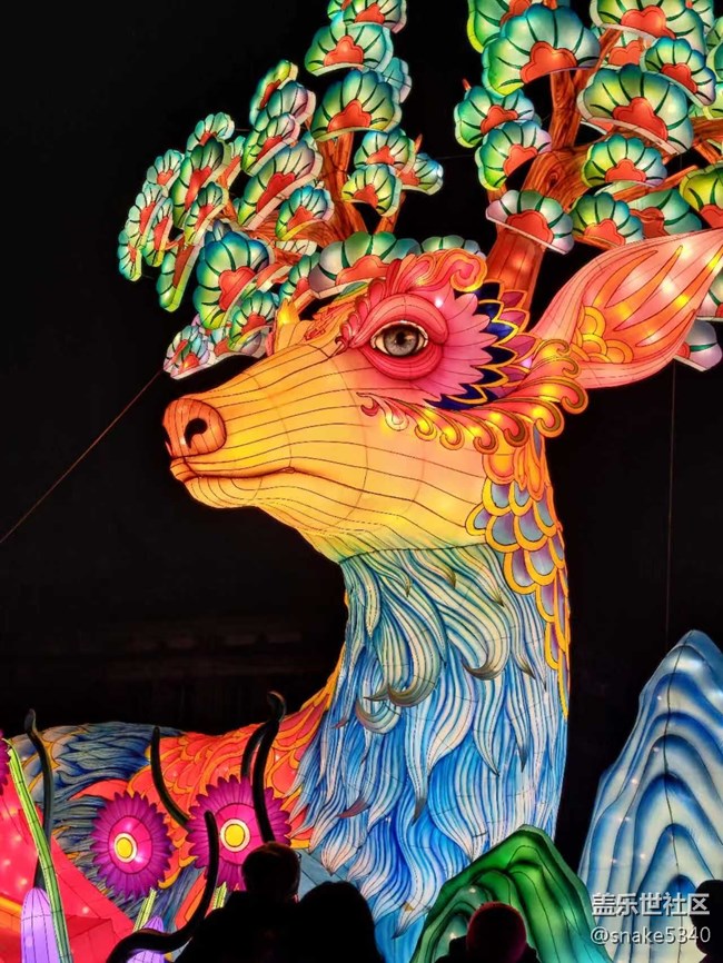 【我在盛京拍花燈】一個(gè)字“絕”