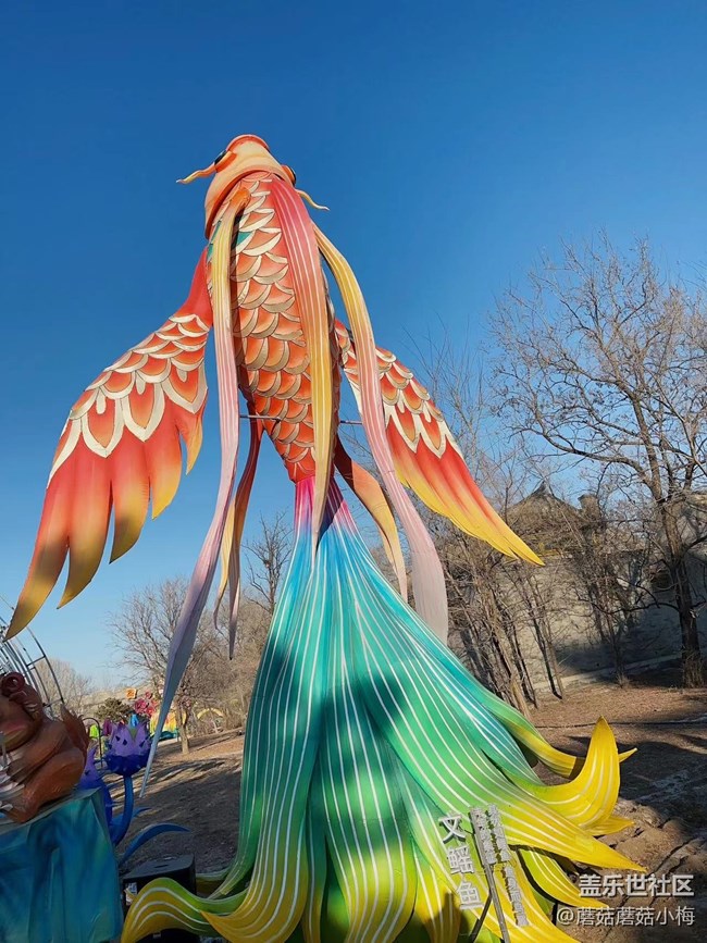 【我在盛京拍花燈】關(guān)東影視城相聚歡！