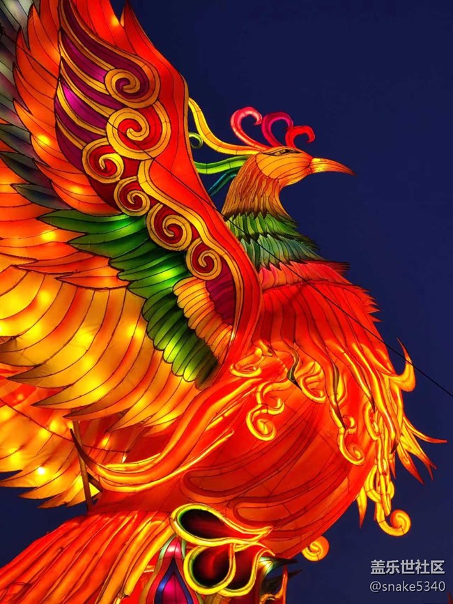 【我在盛京拍花燈】一個(gè)字“絕”