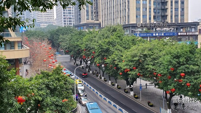 【有一種氛圍叫喜慶】+ 滿街的燈籠