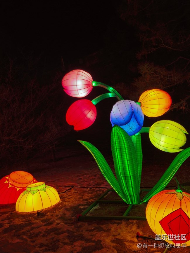 參加沈陽燈會回顧貼