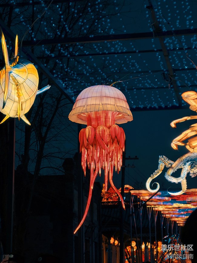 沈阳星部落元宵佳节摄影活动回顾贴