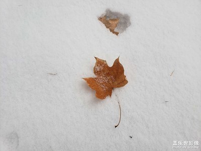 2023第一場(chǎng)春雪