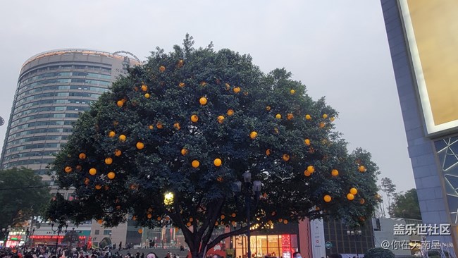 【有一種氛圍叫喜慶】+ 喜氣洋洋的春節(jié)