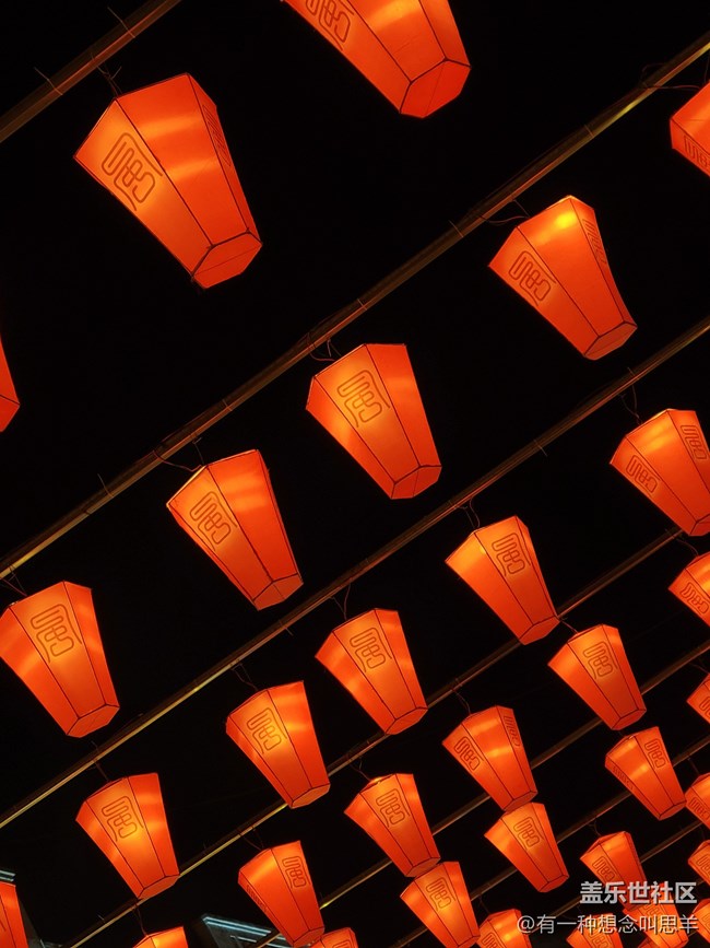 參加沈陽燈會回顧貼