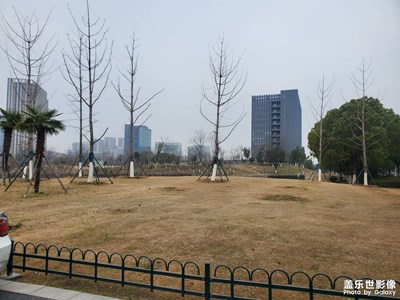 南京市江北新區(qū)，泰馮路地鐵站附近停車場真的是少啊！