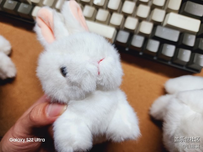 【玉兔呈祥】毛茸茸的兔子小掛件