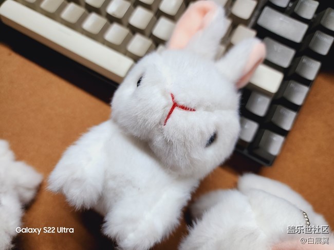 【玉兔呈祥】毛茸茸的兔子小掛件