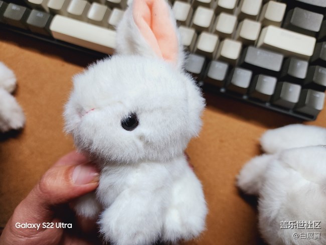 【玉兔呈祥】毛茸茸的兔子小掛件