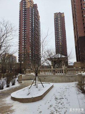 今冬的最后一場雪了