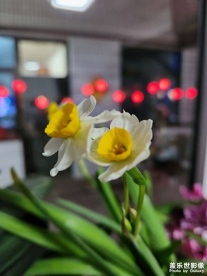 《花》