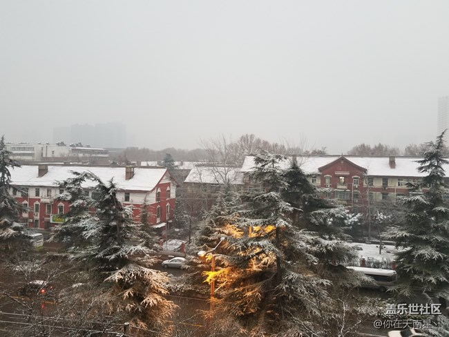 【隆冬之際】—— 下雪的冬天