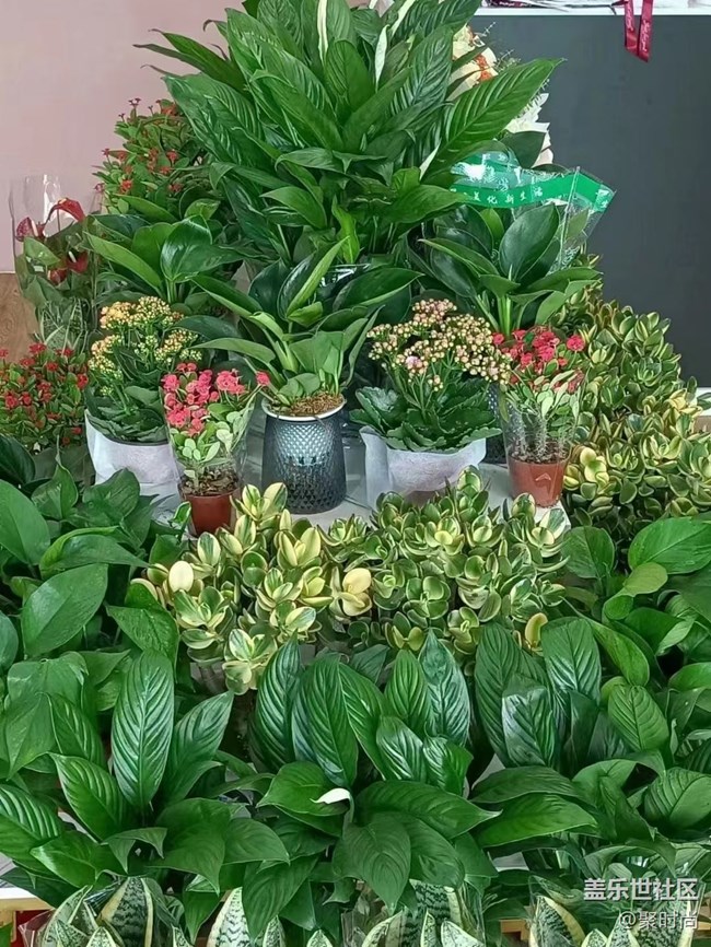 【你好】情人節(jié)