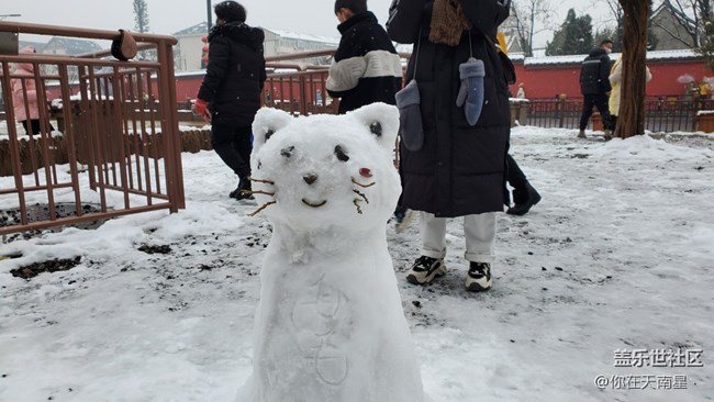 【隆冬之際】—— 下雪的冬天