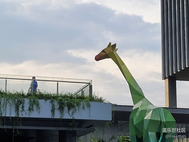 【愛在身邊】媽媽記錄的美好瞬間