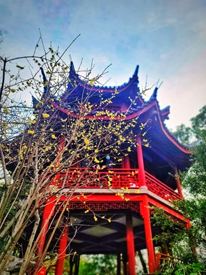 【靜美時分】+工作日