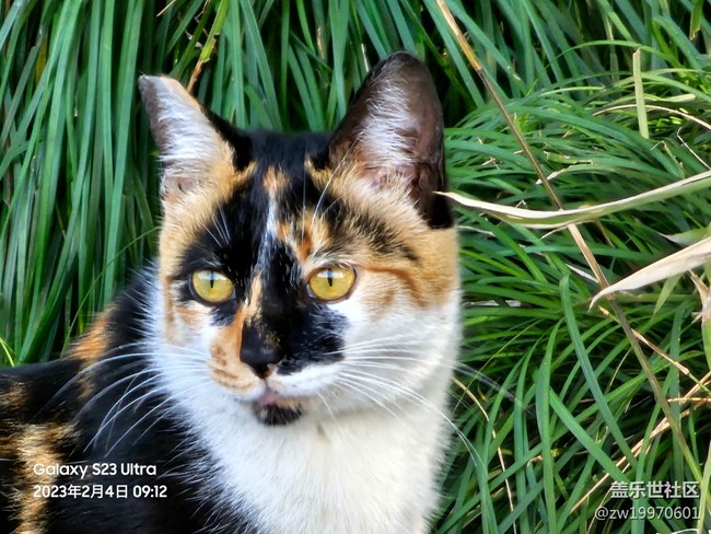 最全面的三星Galaxy S23系列評測 最全面的三星Galaxy S23系列評測