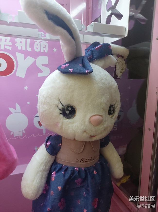 【玉兔呈祥】兔子玩偶