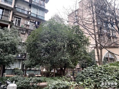 【靜美時分】+小區(qū)美景