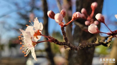 春暖花開