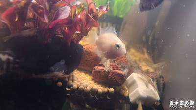 【碎片日?！??生活隨拍