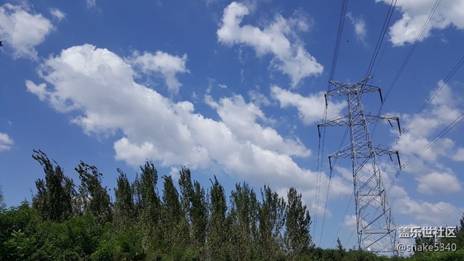 【仰望天空】—— 分外愜意