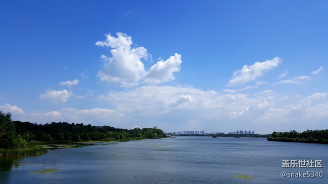 【仰望天空】—— 分外愜意
