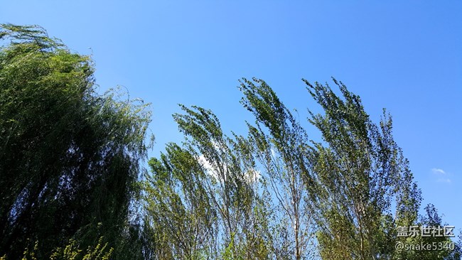 【仰望天空】—— 分外愜意