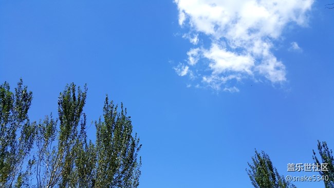 【仰望天空】—— 分外愜意