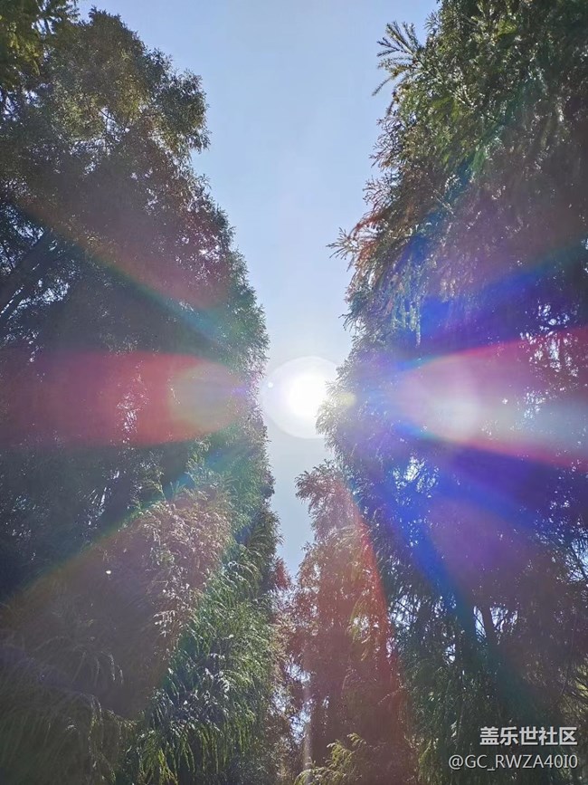 【生活邊角料】晴天真好