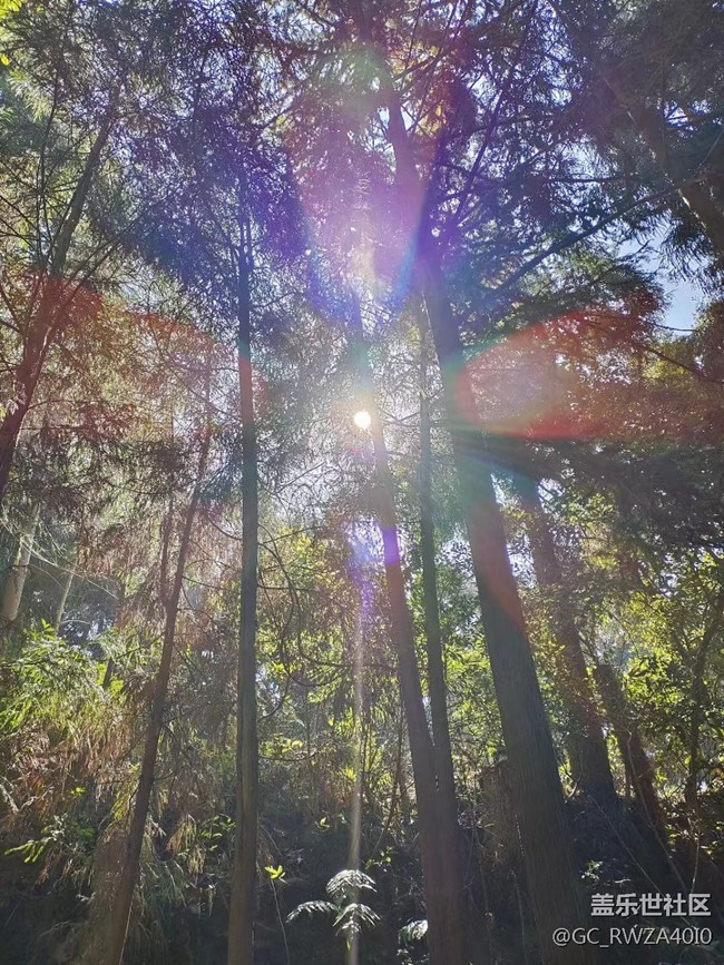 【生活邊角料】晴天真好