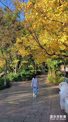 【碎片日?！? 隨拍
