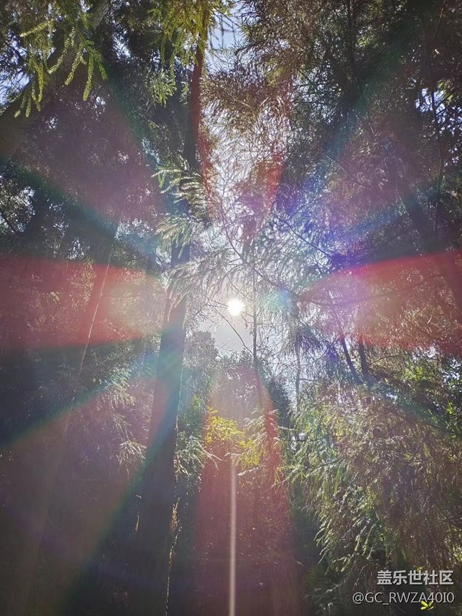 【生活邊角料】晴天真好