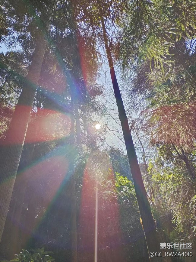 【生活邊角料】晴天真好