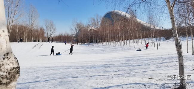 【仰望天空】雪后晴空
