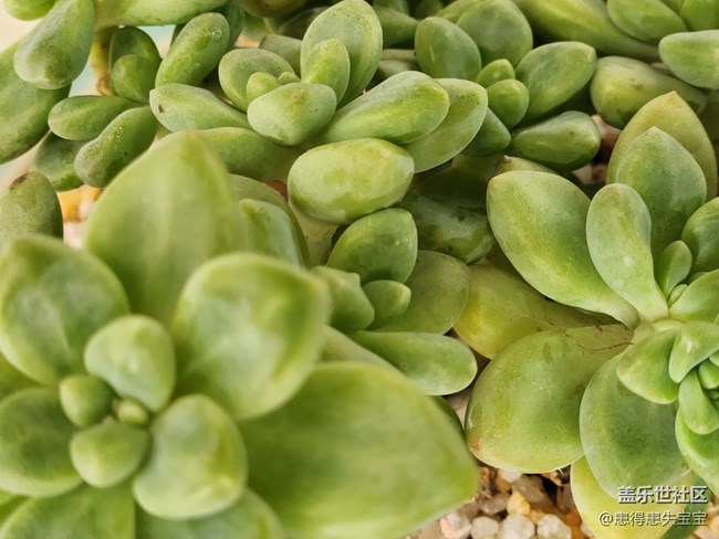 #你好，二月——春天來了